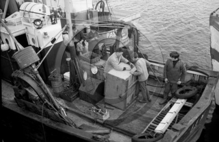 Arcachon -3 décembre 1968 chalutier Nouch gros plan - 3 -.jpg