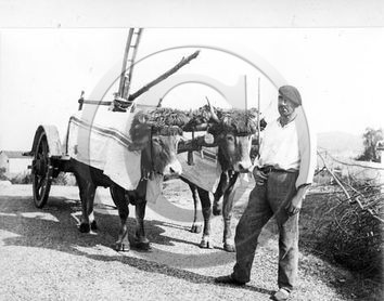 Pyrénées Atlantiques