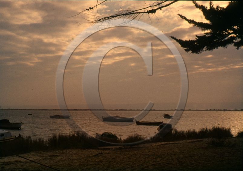 arc 4043 Cap Ferret coucher de soleil .jpg