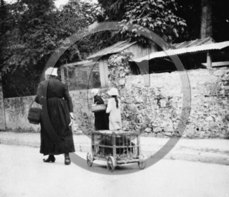 AG 601 fermiere et poules dans cage a roulettes  .jpg