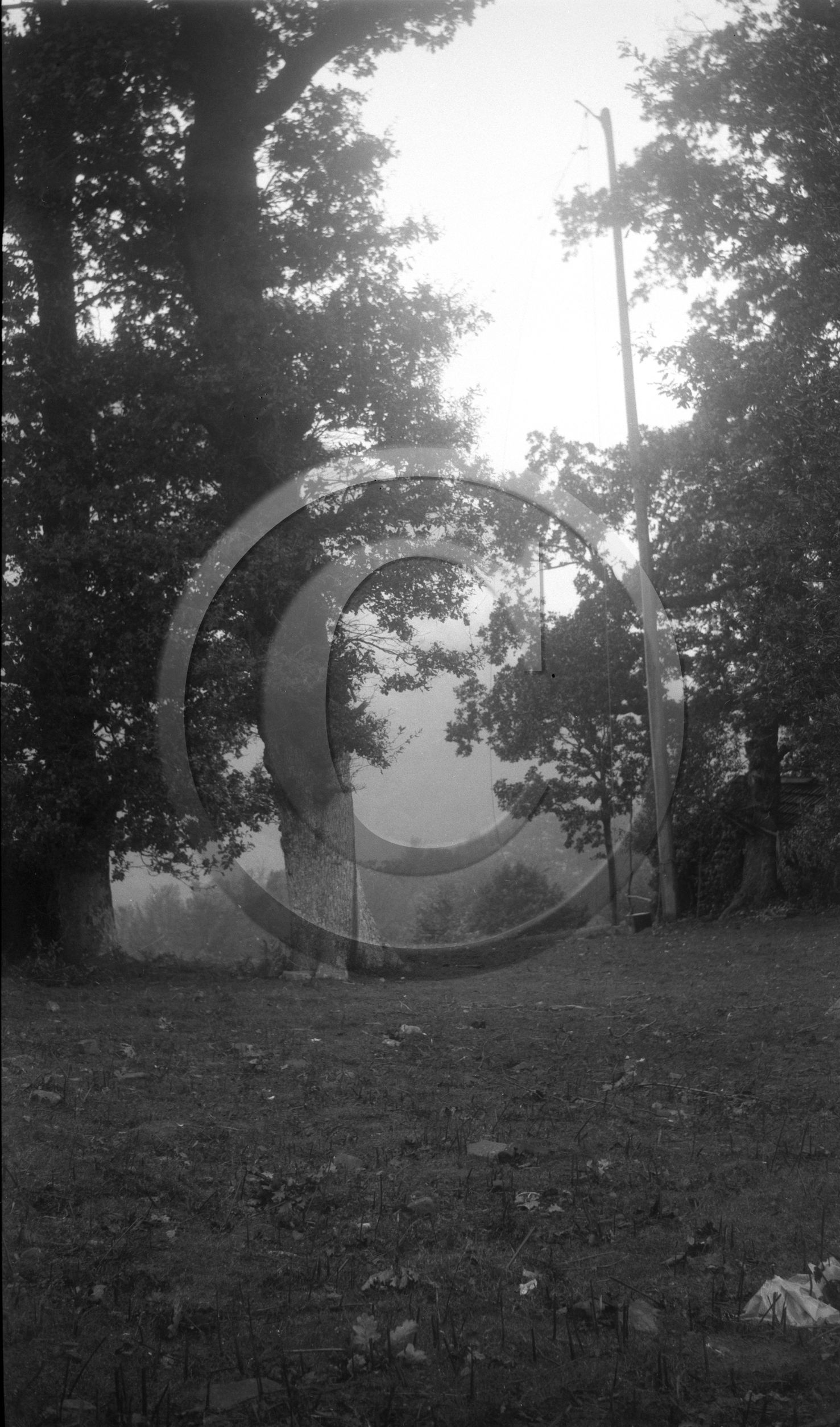 vi  490 chasse a la palombe Sare 1929  dpt 64 .jpg