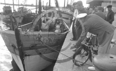 Arcachon -4 aout 66 Georges André AC 13290 un petit singe descend par le bout d'amarrage 2  .jpg