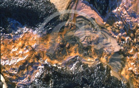 -34 photo abstraite pieds des dunes hiver 1957-58  photo Enri Dargence.jpg