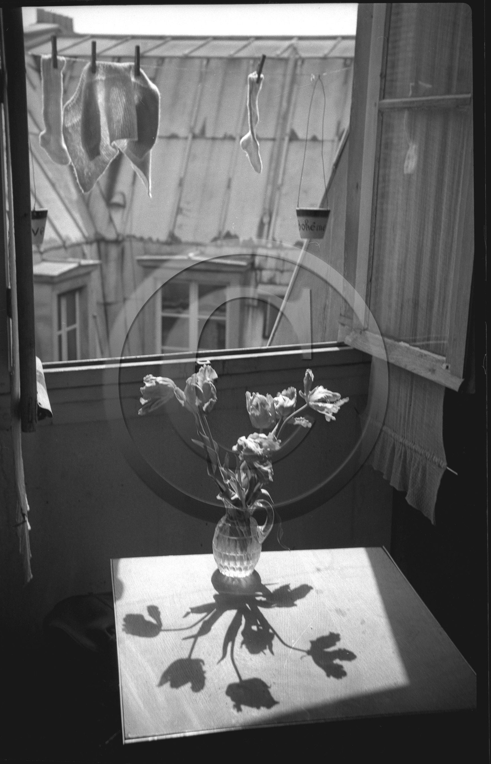 les toits de Paris -Dargence (2).jpg