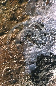 -40 photo abstraite pieds des dunes hiver   1957-58  photo Enri Dargence.jpg