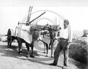 Pyrénées Atlantiques