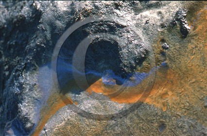 -37 photo abstraite pieds des dunes hiver   1957-58  photo Enri Dargence.jpg