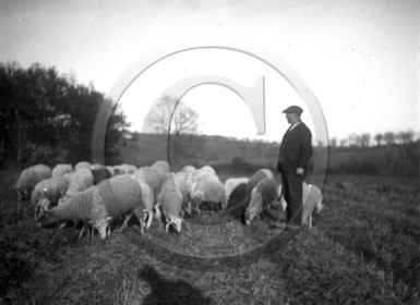 vi  1842 berger Grignols  dpt 33.jpg