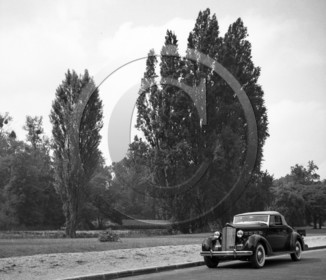 AU 2419 Packard 120 cabriolet spider 1936 .jpg