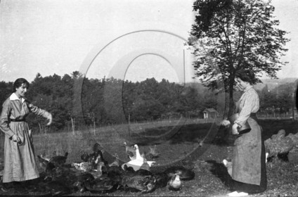 AG 703 femmes nourissant les canards .jpg