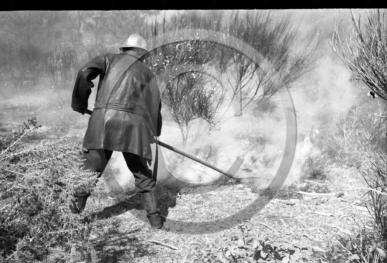 Pompiers du bassin d'Arcachon