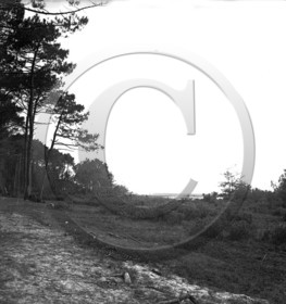 vi  206 Sanguinet annee 1931 dpt 40.jpg