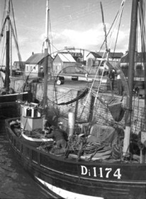 vi  812  port bateau de peche de Dieppe  .jpg