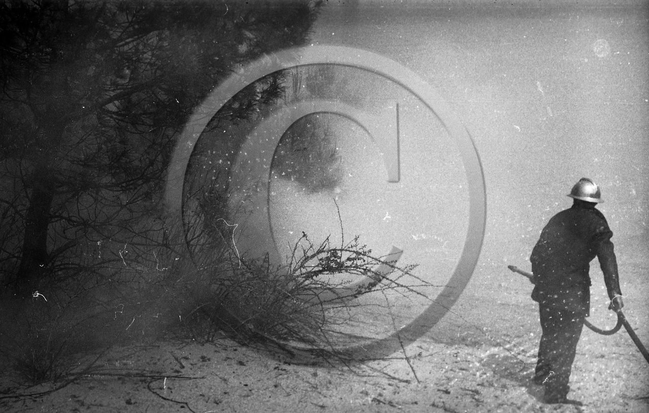 Pompiers du bassin d'Arcachon