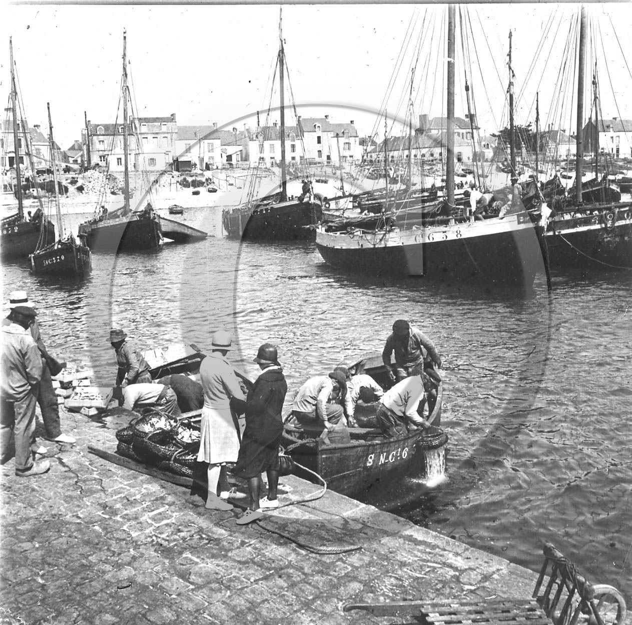 vi  1018  la turballe dpt 44 .jpg