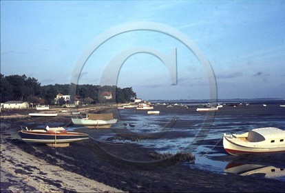 arc 4046 Cap Ferret bord du bassin a maree basse .jpg