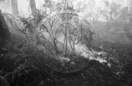 Pompiers du bassin d'Arcachon