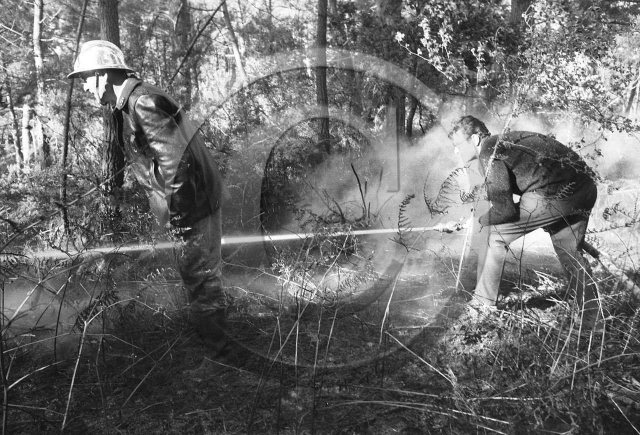 Pompiers du bassin d'Arcachon