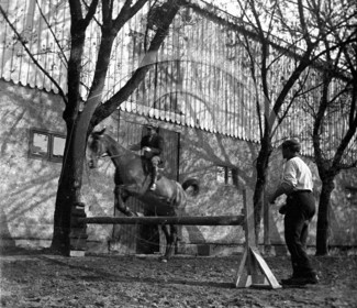 sl 299 équitation.jpg