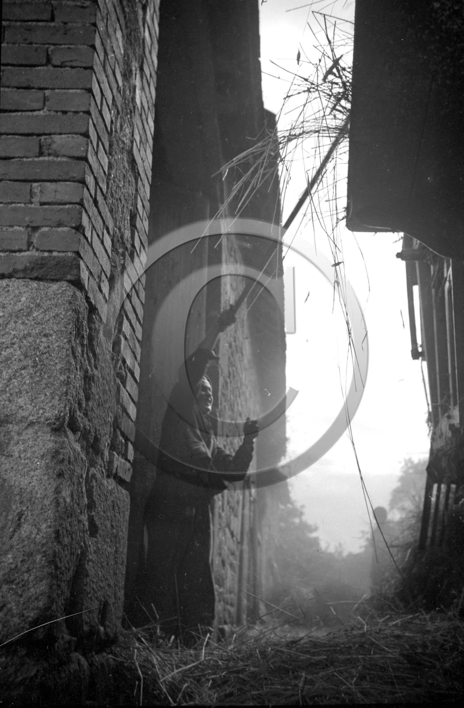 AG 610 ferme photo Enri Dargence  .jpg