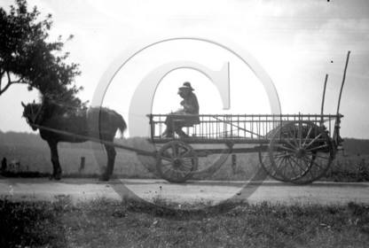 AG 563 attelage de travail  .jpg