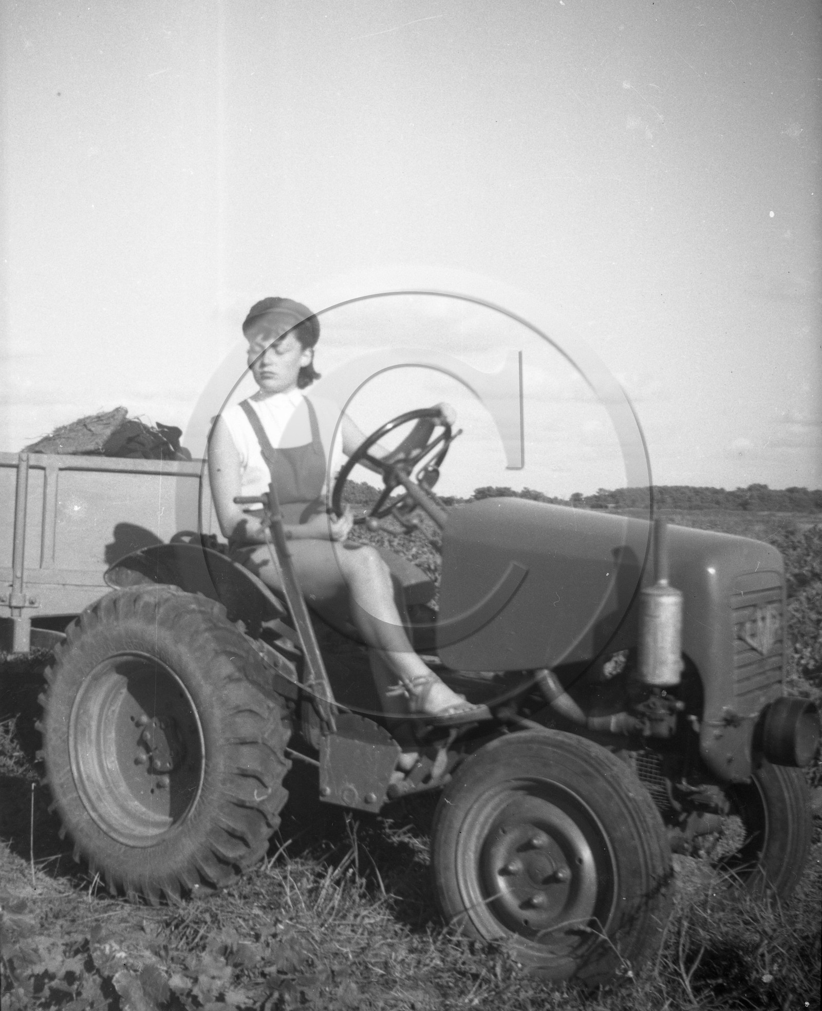 AG 719  tracteur.jpg
