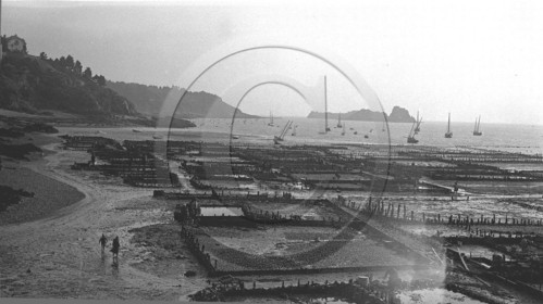 vi  1214  environ de st malo  dpt 35.jpg