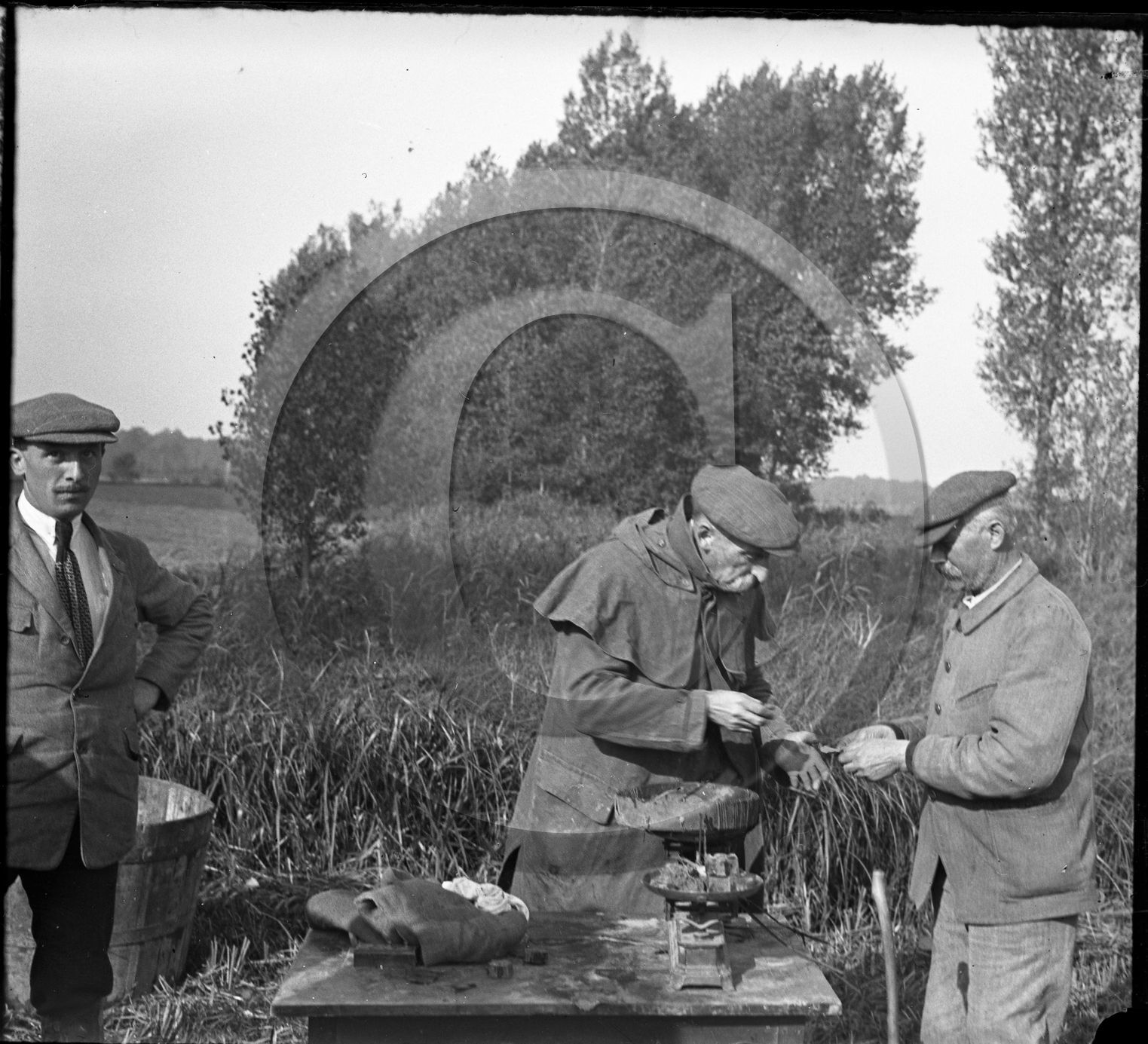 SL 312 peche psée de poissons série de 7 negatifs .jpg