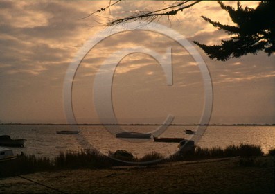 arc 4043 Cap Ferret coucher de soleil .jpg