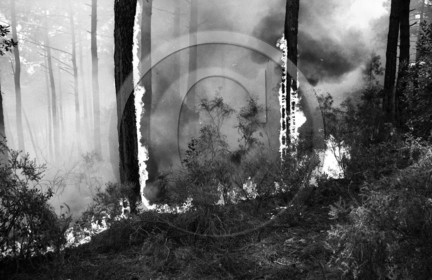 Pompiers du bassin d'Arcachon