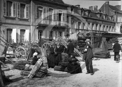 AG 716 marche aux bois piquets de vigne .jpg